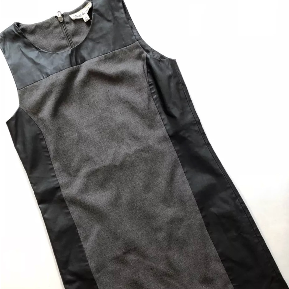 NWT Stitch Fix OLIVE & OAK Gray Faux Leather Dress